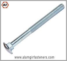 Carriage Bolt