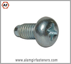 Philip Screw