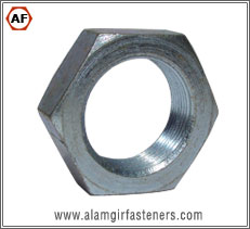 Hex Check Nut