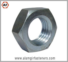 Hex Nut