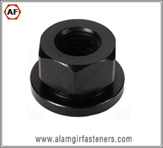 Flanged Nut