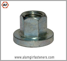 Flanged Nut