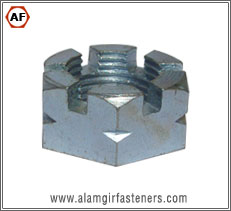 Slotted Nut